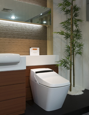Электронная сантехника SensPa