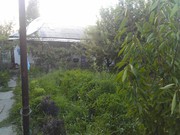 Продам свой дом в Старых Сергелях