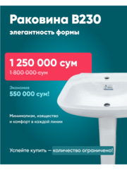 Раковина напольная Debora В230