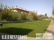 Landshaftniy dizayn OOO BESTGRASS.